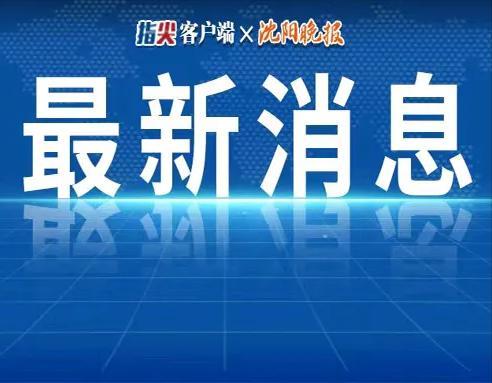臻鑫资产最新爆料新闻,揭秘投资内幕，揭示行业真相