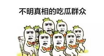吃瓜群众第1集免费观看,揭秘神秘事件，免费观看开启悬疑之旅