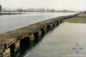 绍兴跳桥最新爆料,真相揭秘与后续影响深度剖析